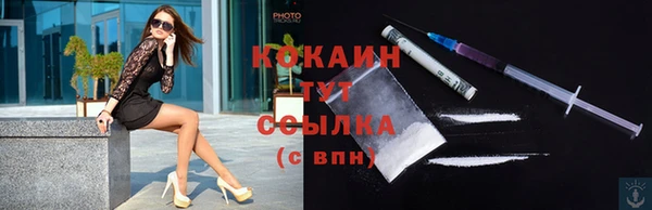 гидра Надым