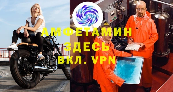 гидра Надым