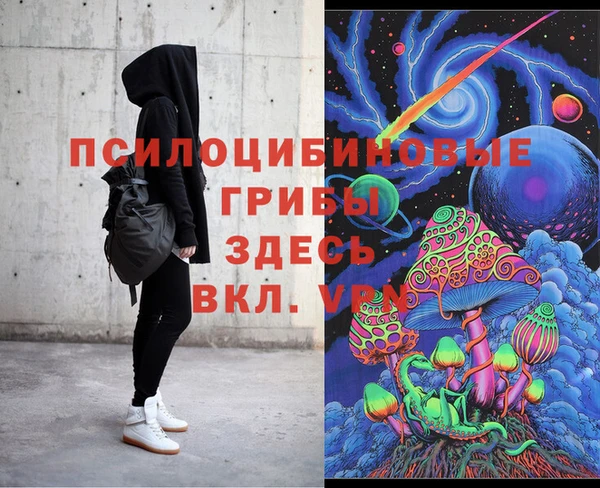 гидра Надым