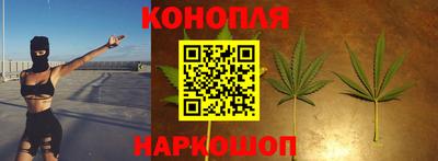 ECSTASY Гай