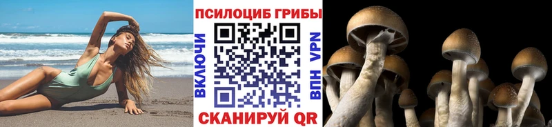 KRAKEN как войти  Полевской  Галлюциногенные грибы мицелий  цена  