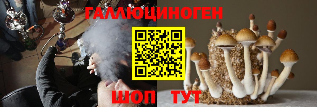 Полевской  купить  сайты  Вход с VPN  Псилоцибиновые грибы MAGIC MUSHROOMS 