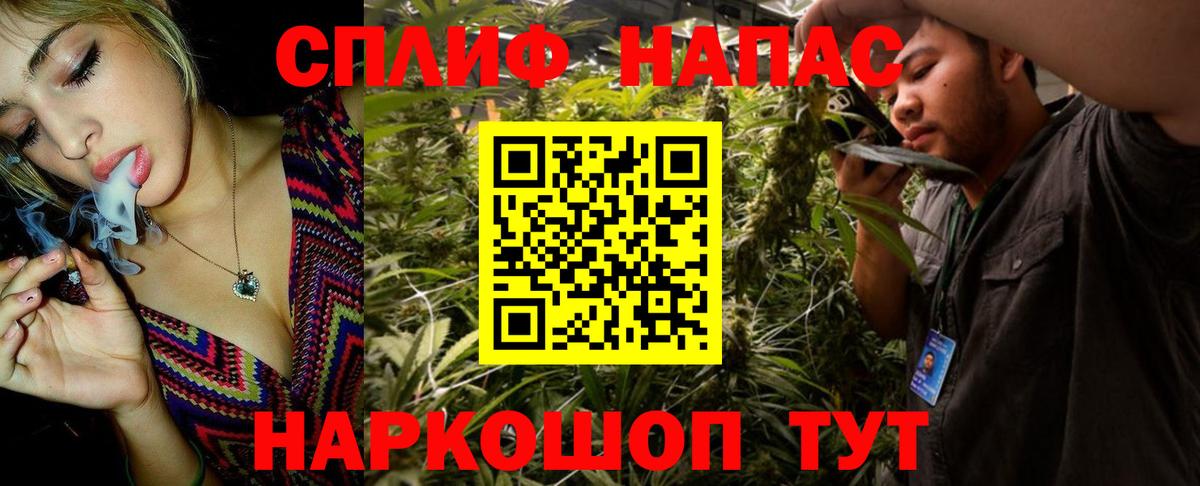 Каннабис план Полевской